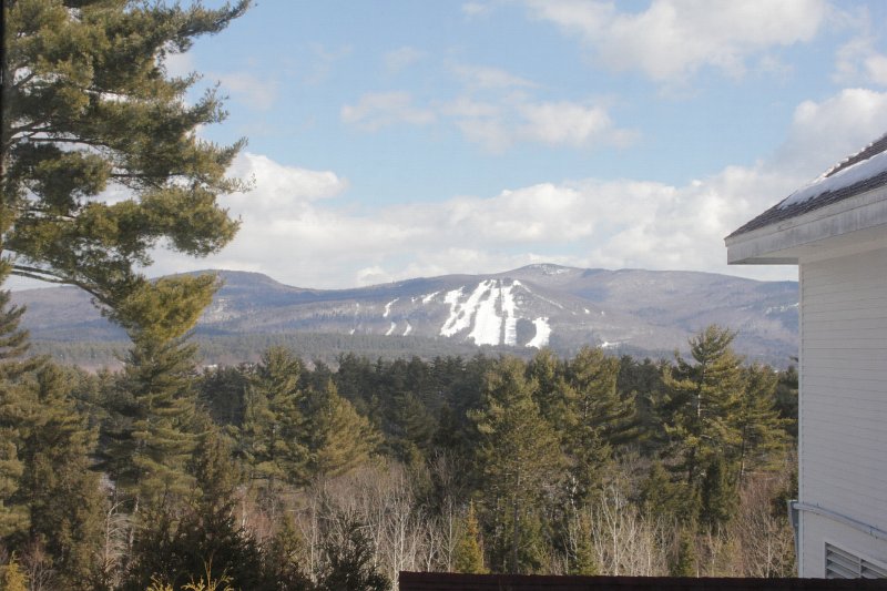 Feb 2012 024.JPG